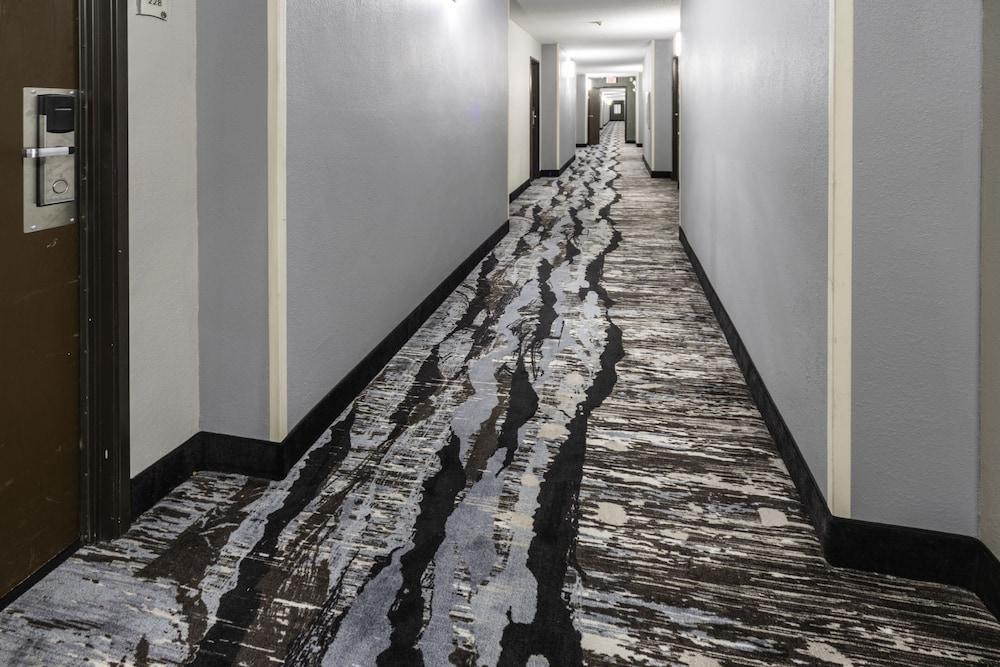 Quality Inn & Suites Danville Extérieur photo